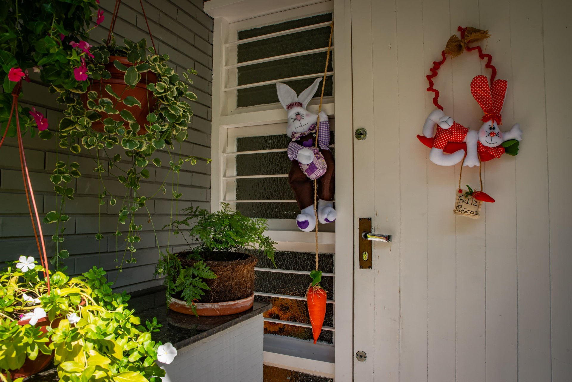 Varanda com plantas e detalhes carinhosos