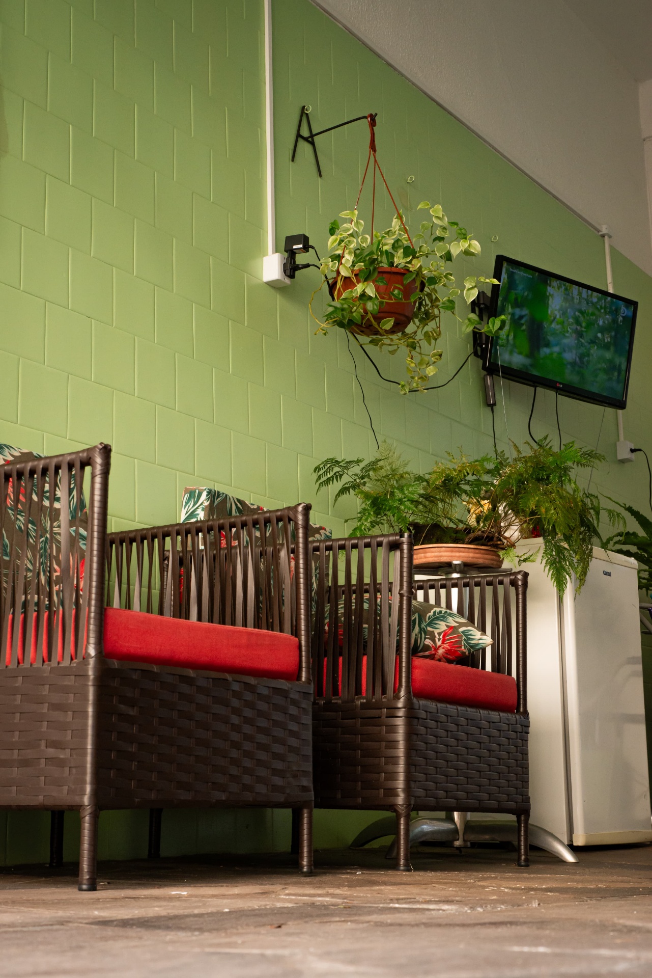 Sala de convivência acolhedora com plantas